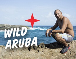 Win Trip to Aruba