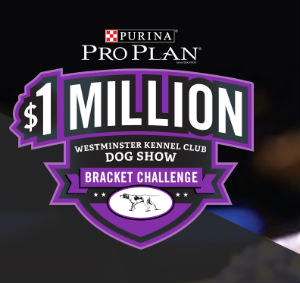 Win $1 Million