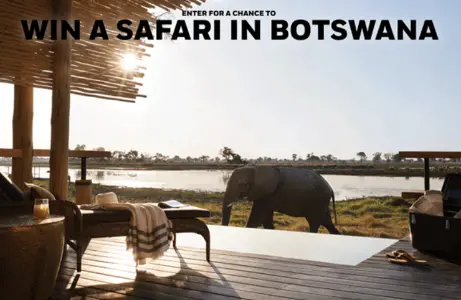 Win A Safari in Botswana