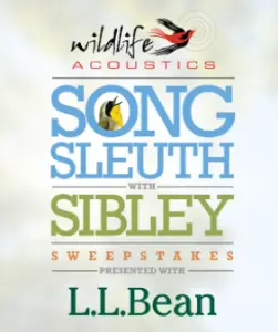 Win a $1K L.L.Bean Gift Card & Trip to Maine