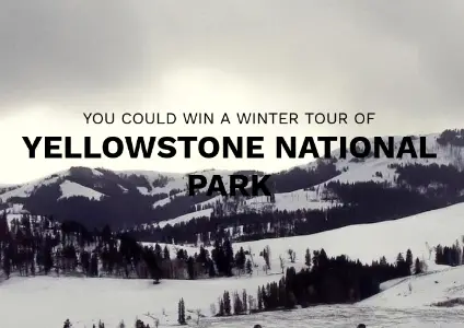 Win A Trip to Yellowstone National Park