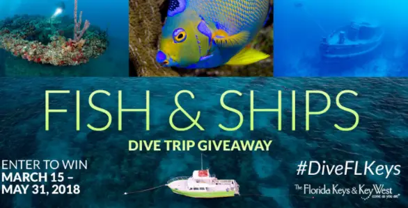 Win A Diving Vacation in Key West