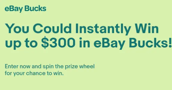 Win eBay Bucks