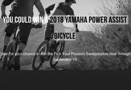 Win 2018 Yamaha Power Assist Bicycle
