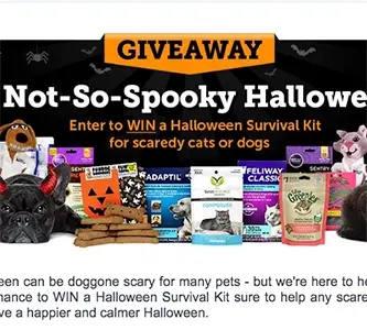 Win a Halloween Survival Kit for Pets