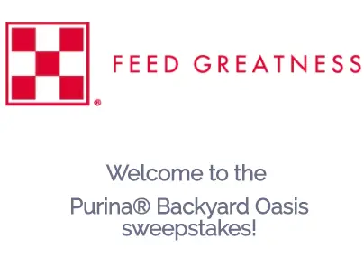 Win a $36K Backyard Makeover from Purina