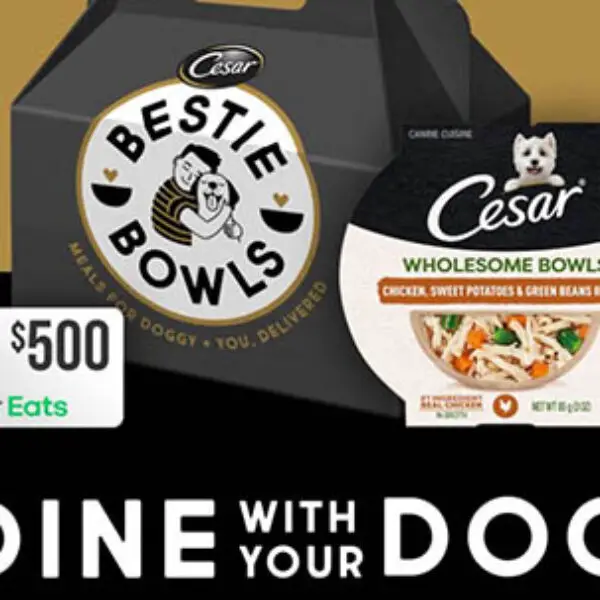 Win a $500 Uber Eats Gift Card + 1-Year Cesar Bowls « Sweeps Invasion