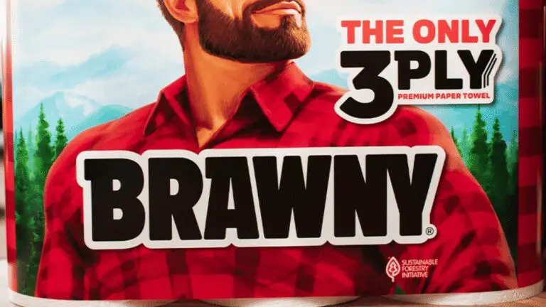 Brawny® 3-Ply Guys Sweepstakes: Win a Home Cleaning Session