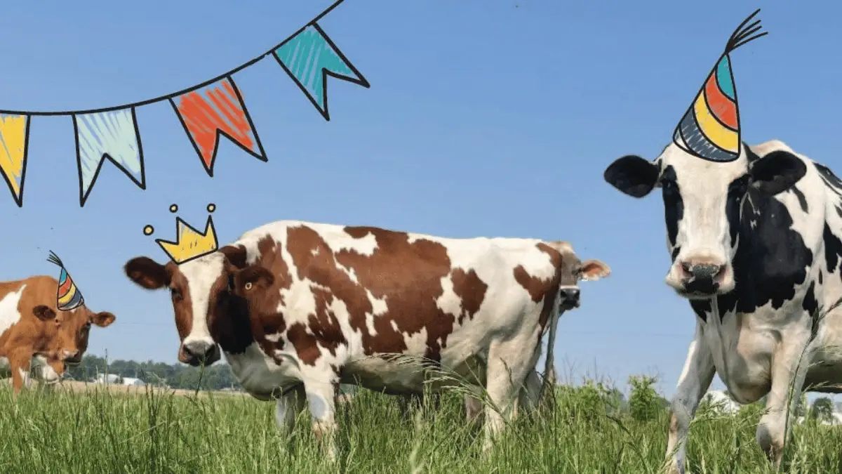 Win a Grocery Gift Card in the National Dairy Month Sweepstakes!