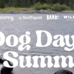 Outdoorsy Dog Days of Summer Giveaway