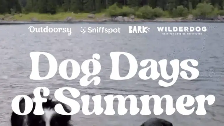 "Win Big in the Dog Days of Summer Giveaway!"