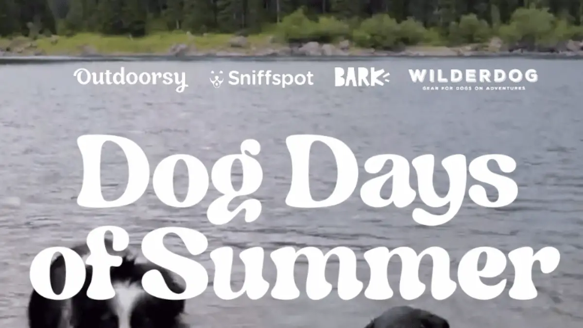 "Win Big in the Dog Days of Summer Giveaway!"