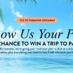 Curie Brand Pit Paradise Giveaway