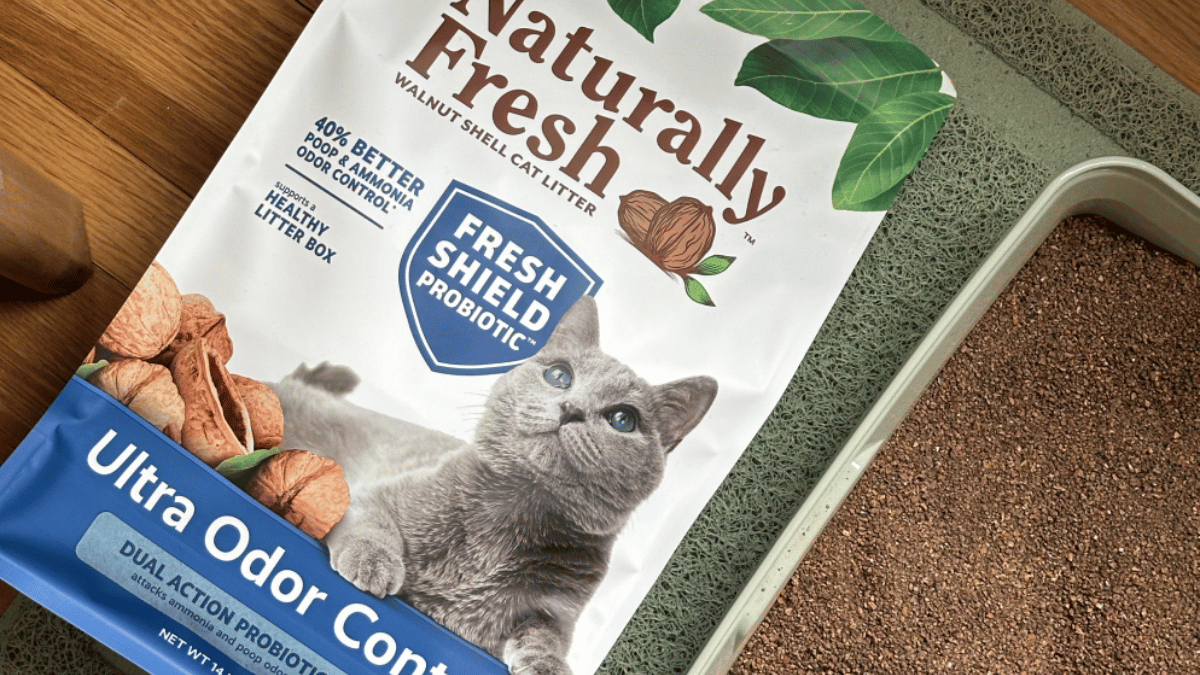 Win a Prize for Your Cat and Shelter!