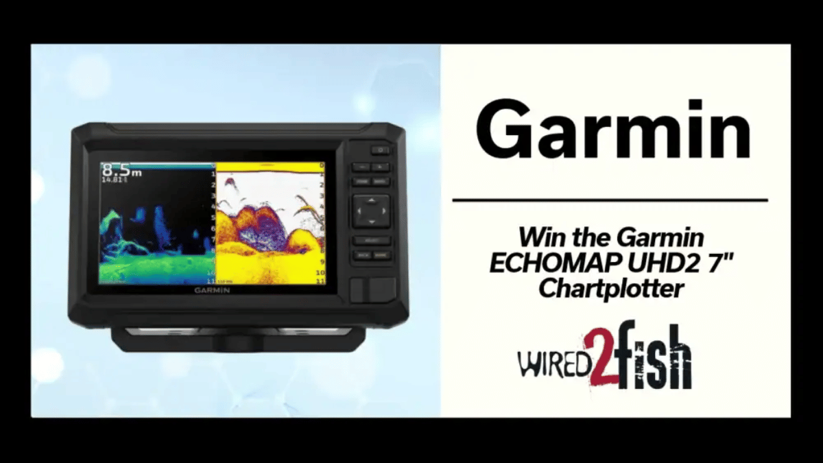 Win Prizes with Wired2Fish Giveaway