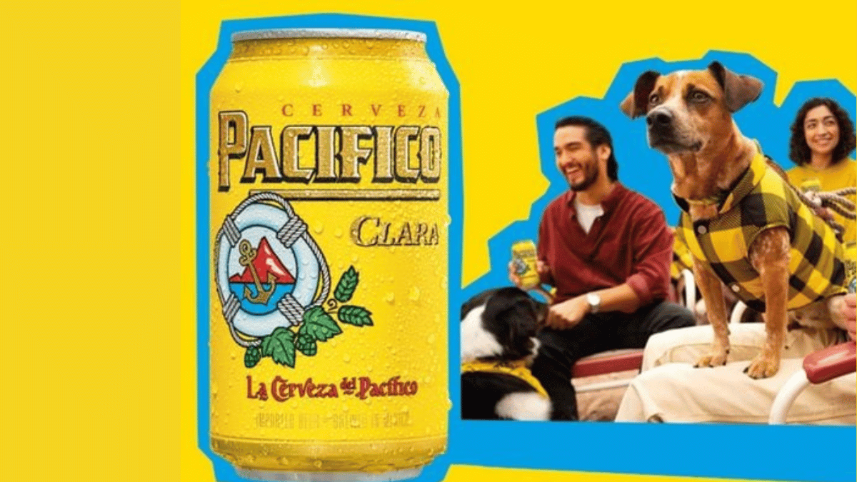 Win a Pacifico Outfit for You and Your Dog!