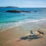 France Today Dream Trip to Corsica Giveaway