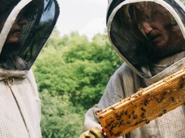 Kentucky Mobile  Days of Magic Giveaway