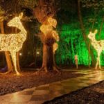 Overland Ireland Tours  Days of Christmas Giveaway