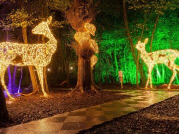 Overland Ireland Tours  Days of Christmas Giveaway