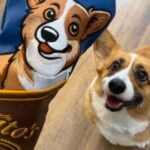 Tito’s Golf Club Headcover Sweepstakes