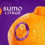 Sumo Citrus Joy Ride Sweepstakes