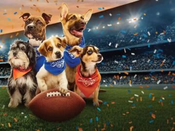 Valpak Puppy Bowl Sweepstakes