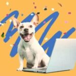 DogTV Fresh Breath for Your Valentine Giveaway