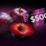 Hortgro Endless Plum Possibilities Giveaway