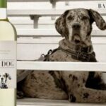 Bar Dog Label Contest