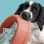 Blue Buffalo Love Made Fresh Dog Tax Credit Sweepstakes & Instant Win – Dog Owners / Hot Pick!