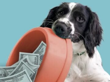 Blue Buffalo Love Made Fresh Dog Tax Credit Sweepstakes & Instant Win – Dog Owners / Hot Pick!