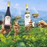 Cavit Made With Good Energy Sweepstakes