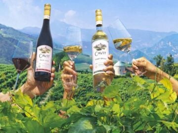 Cavit Made With Good Energy Sweepstakes