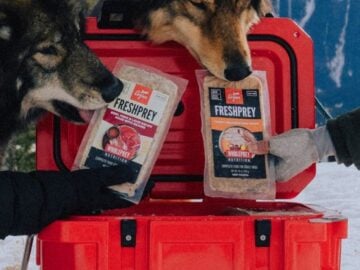 Orijen Pet Food Fuel Your Next Adventure Sweepstakes – Instagram