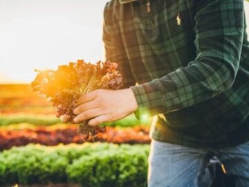 Earthbound Farm A Year of Greens, On Us Sweepstakes