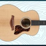 American Musical Supply Taylor Gold Label Giveaway