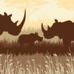 Blue Rhino Win A Rhino Trip Sweepstakes