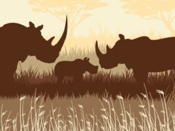 Blue Rhino Win A Rhino Trip Sweepstakes