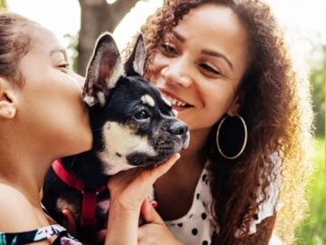 Nestlé Purina Dog Chow Giving You 100 Contest