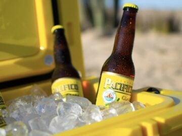 Pacifico Summer 2026 Sweepstakes – Text / Mail-In