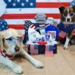 DogTV June Giveaway
