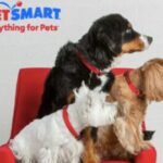PetSmart Treats Rewards Super Giveaway