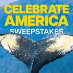 Disney+ Perks: Celebrate America Sweepstakes – Disney+ Subscribers / Mail-In