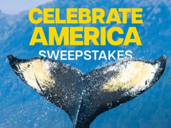 Disney+ Perks: Celebrate America Sweepstakes – Disney+ Subscribers / Mail-In