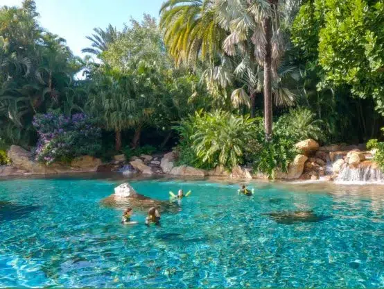 Guy Harvey x Discovery Cove Shark Month Giveaway