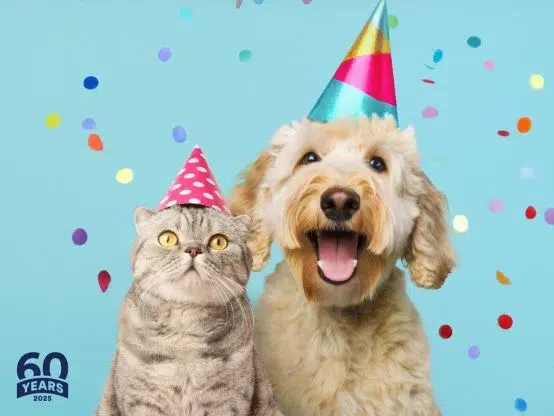 Petco’s $60K BDay Sweepstakes – Purchase / Mail-In