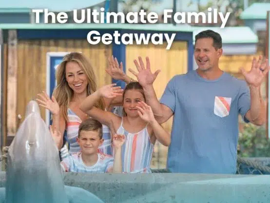 PatPat x SeaWorld Ultimate Family Getaway Sweepstakes – Instagram