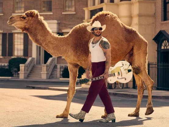 Camel Out There Sweepstakes & Instant Win