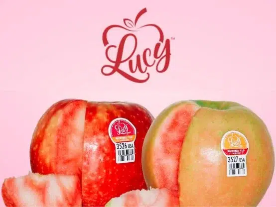 Lucy Apples Fall Giveaway – Instagram
